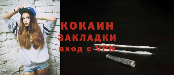 дживик Арсеньев