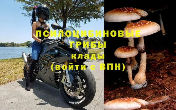 дживик Арсеньев