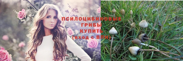 дживик Арсеньев