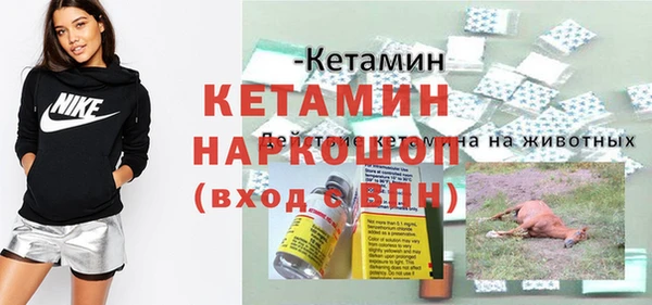 дживик Арсеньев