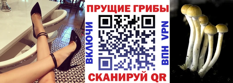 Галлюциногенные грибы прущие грибы маркетплейс состав Богородицк хочу