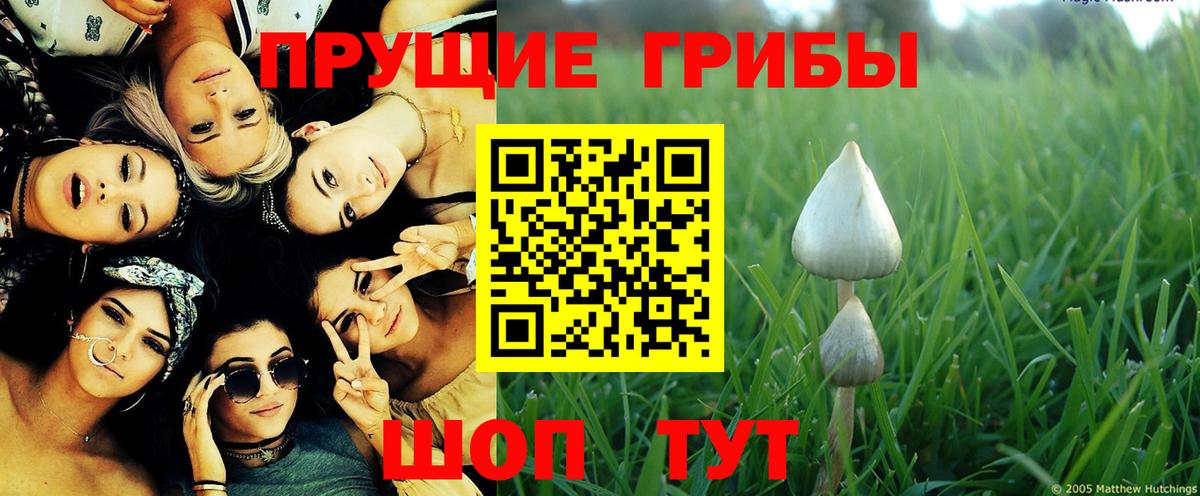 Галлюциногенные грибы Magic Shrooms  Псилоцибиновые грибы Magic Shrooms  Вход с VPN  Богородицк 